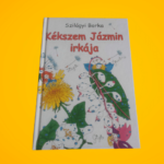 Szilágyi Borka: Kékszem Jázmin irkája